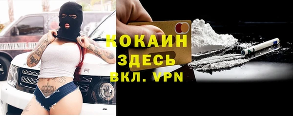 сатива Дмитровск