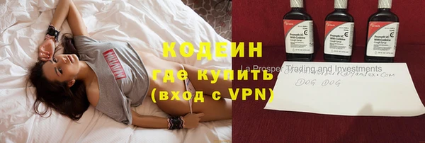 2c-b Гусев