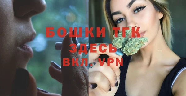 бошки Гусиноозёрск