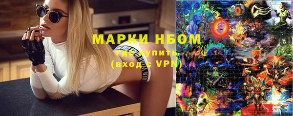 шишки Гусь-Хрустальный