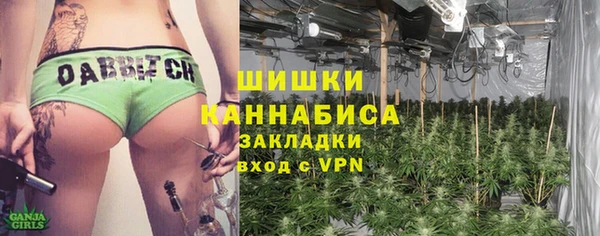 сатива Дмитровск