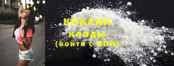 2c-b Гусев