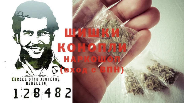 сатива Дмитровск