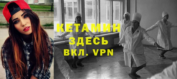 сатива Дмитровск