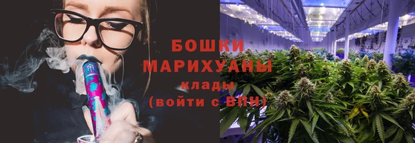 шишки Гусь-Хрустальный