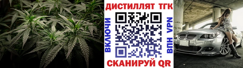 ТГК Wax  Дагестанские Огни 